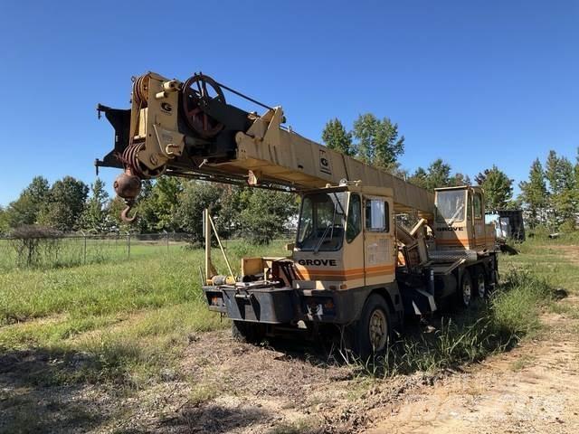 Grove TMS 250A Paletli vinçler