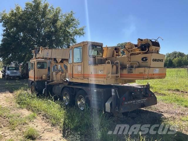 Grove TMS 250A Paletli vinçler