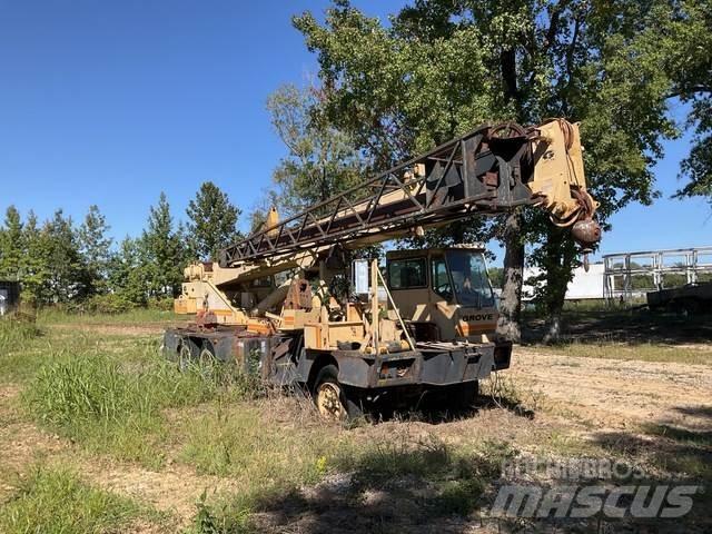Grove TMS 250A Paletli vinçler