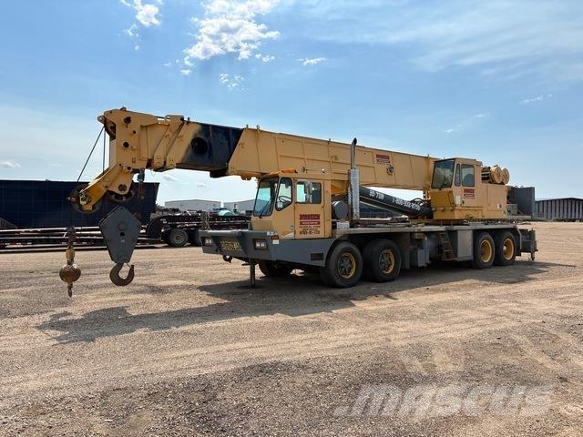 Grove TMS865 Paletli vinçler