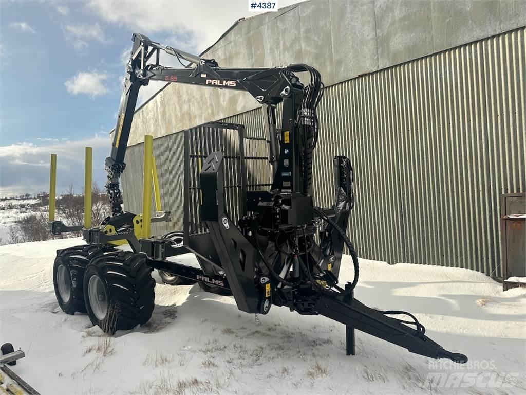 Palms u12 Diger