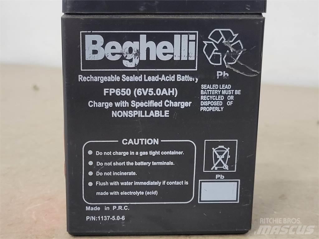  BEGHELLI FP650 Bataryalar