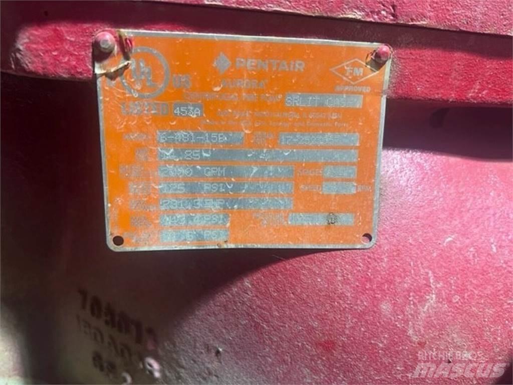  PENTAIR 6-481-15B Motorlar