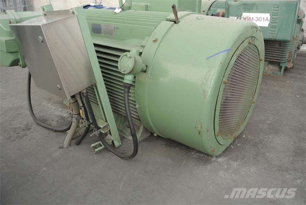Siemens CGZZ Endüstriyel motorlar