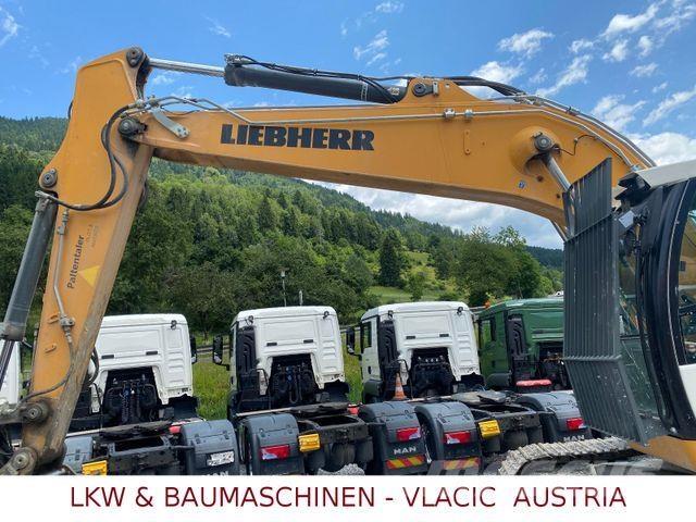 Liebherr R 924 LC Paletli ekskavatörler