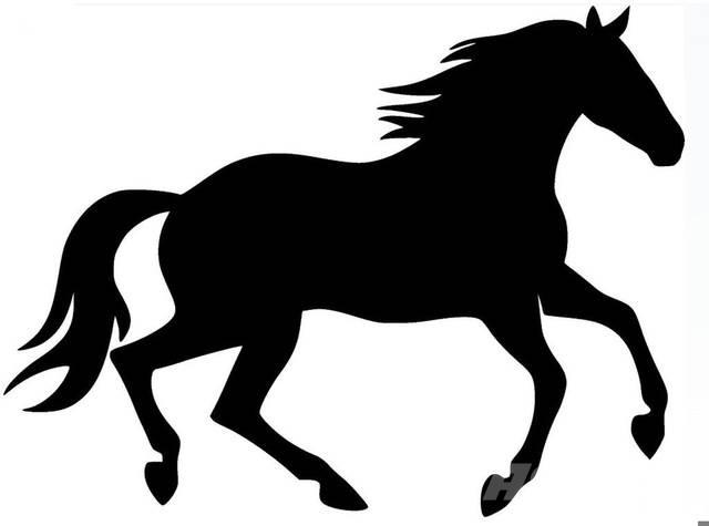  Dark Bay Stallion Diger