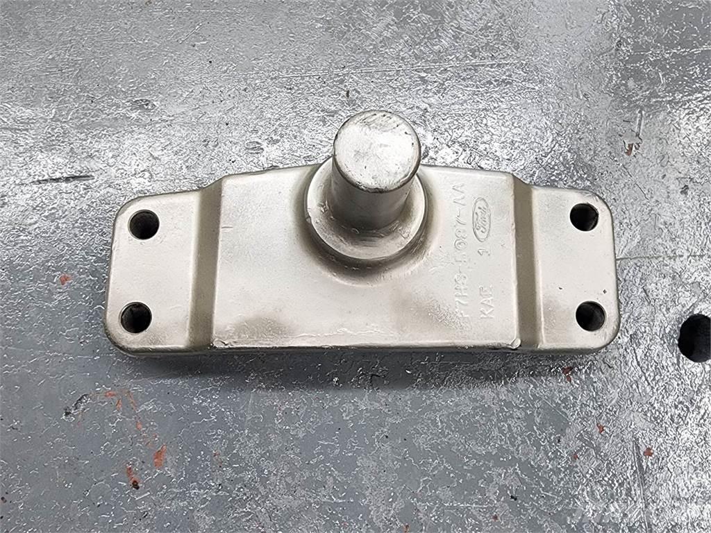Ford  Motorlar