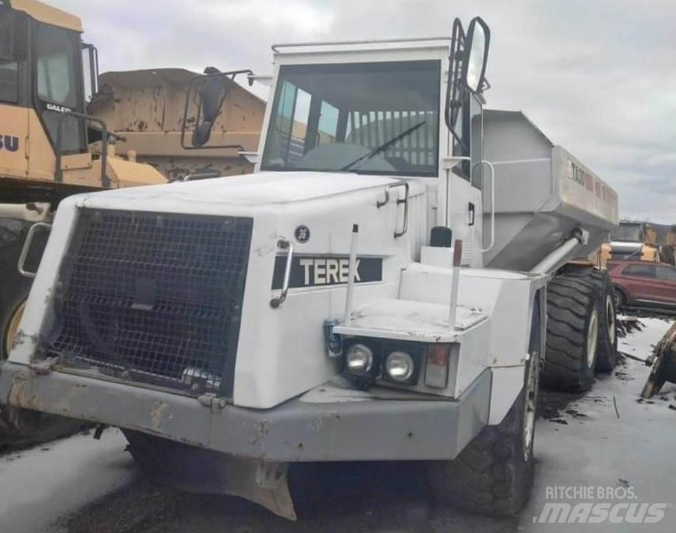 Terex TA30 Panel vanlar