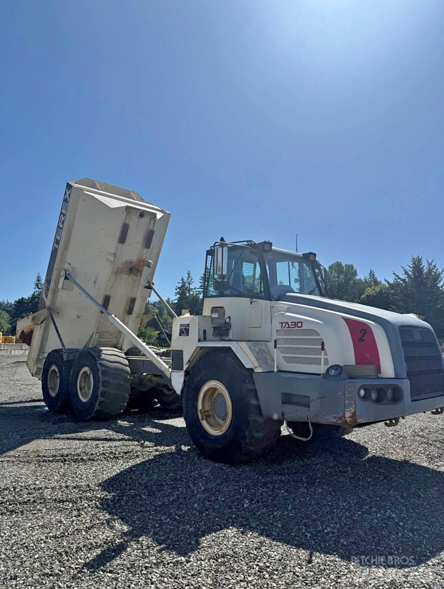 Terex TA30 Panel vanlar