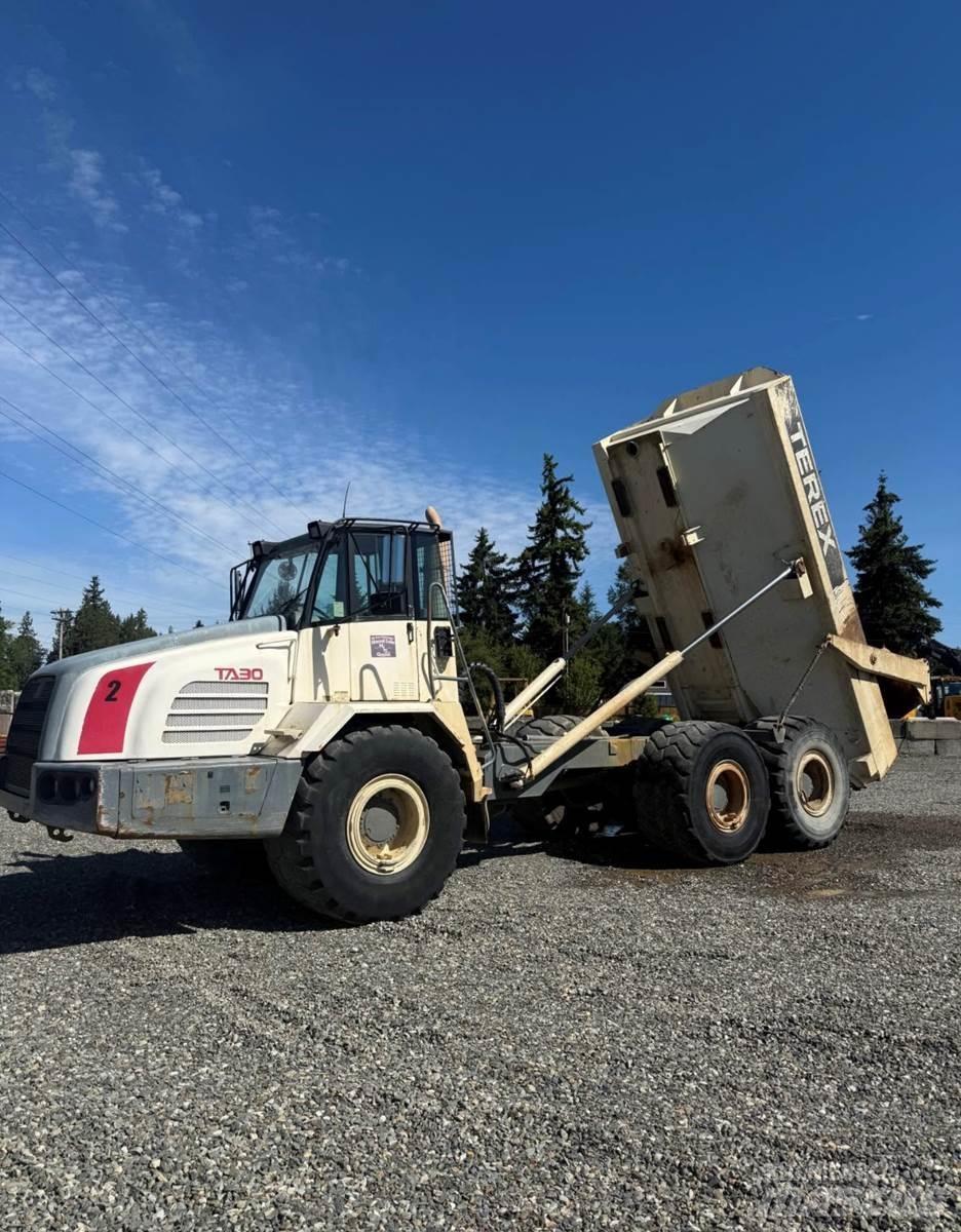 Terex TA30 Panel vanlar