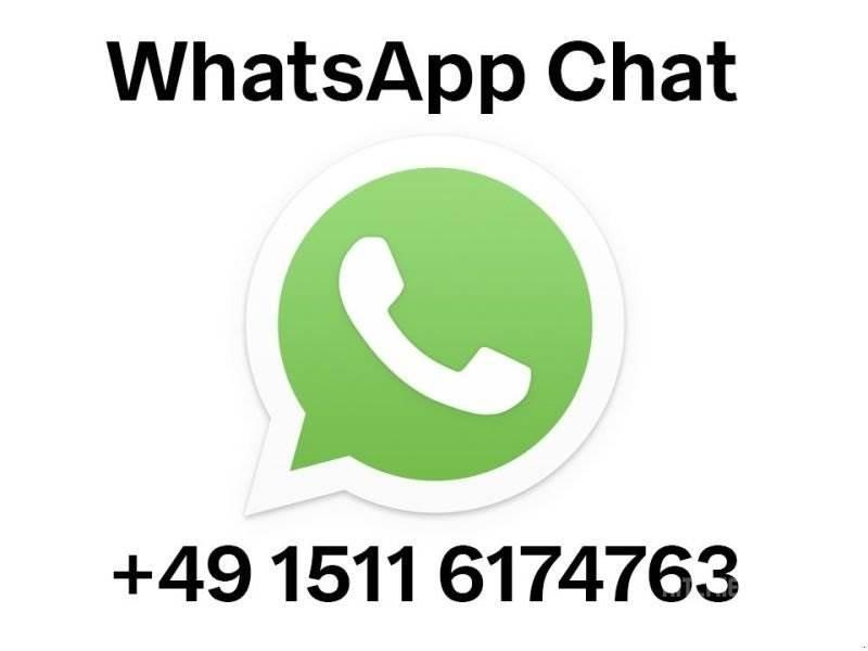 CAT 1000 Yaprak siyiricilar