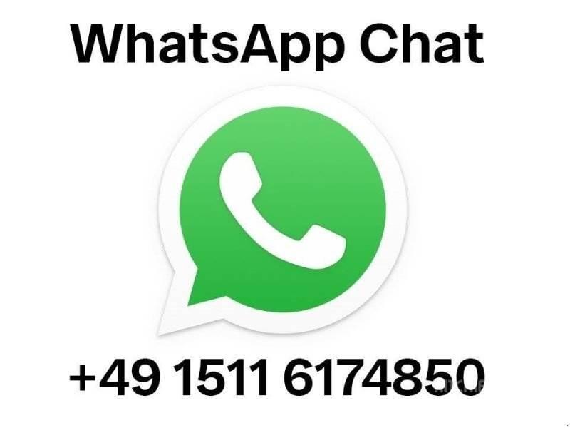 Hassia GLB 4D Patates ekipmanları - Diğer