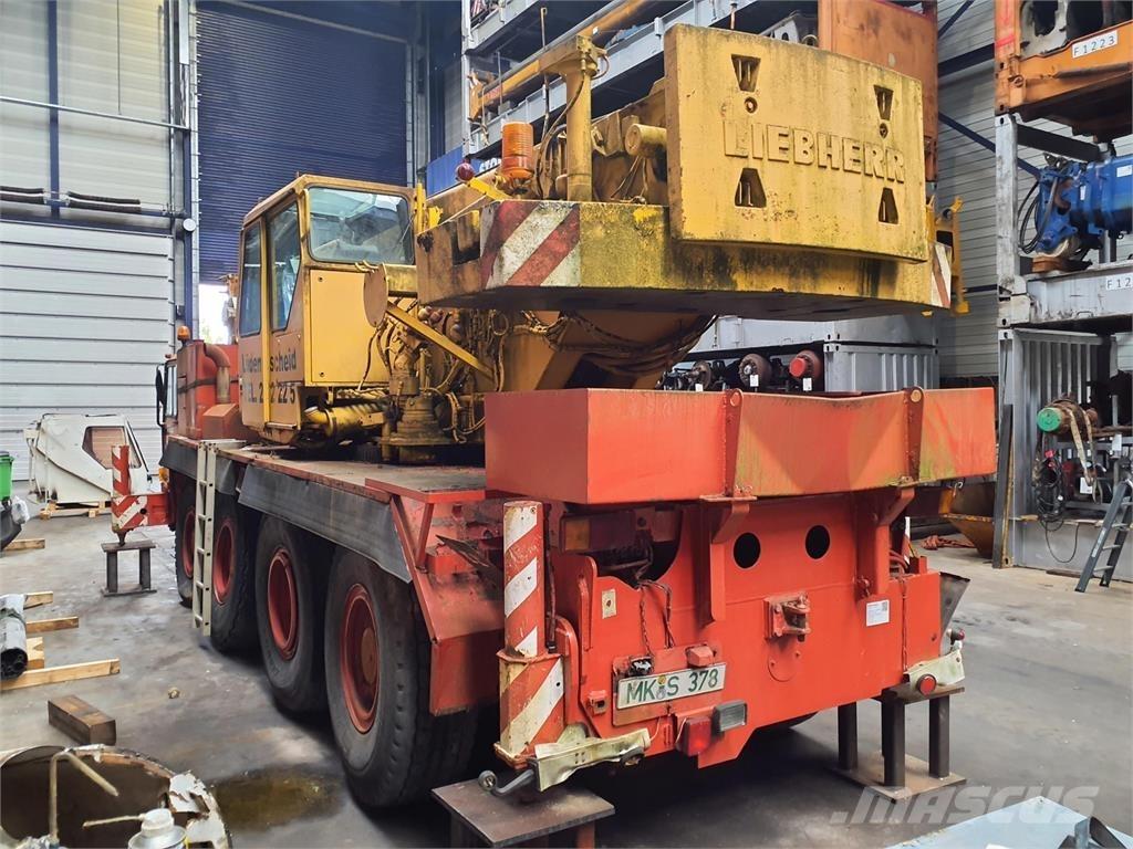 Liebherr LTM 1050 Yol-Arazi Tipi Vinçler (AT)
