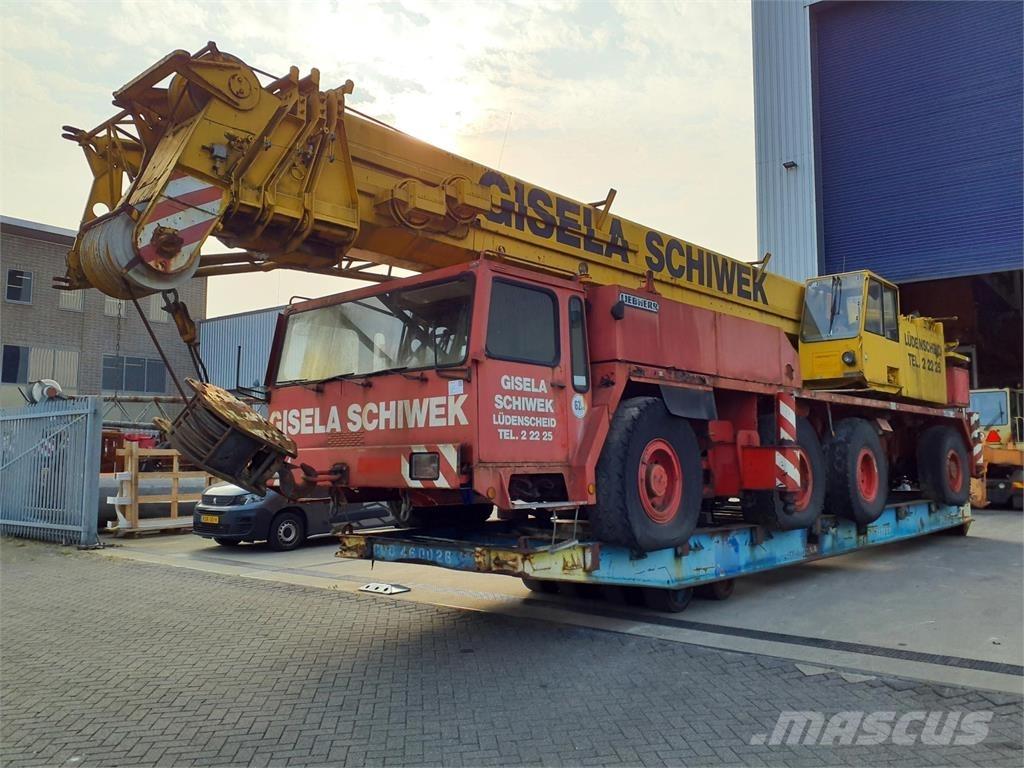 Liebherr LTM 1100 Yol-Arazi Tipi Vinçler (AT)