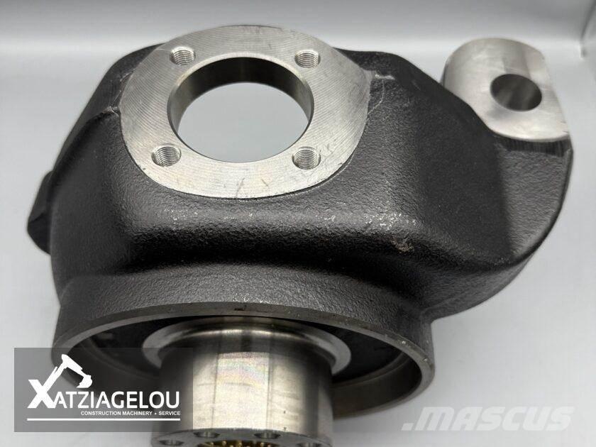  DANA SPICER Sanzuman