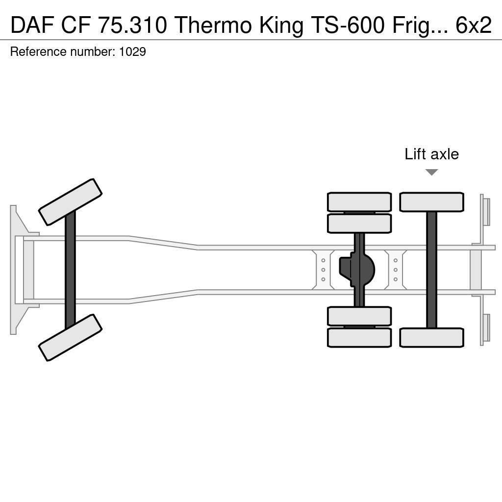 DAF CF 75.310 Thermo King TS-600 Frigo 6x2 Manuel Gear Frigofrik kamyonlar