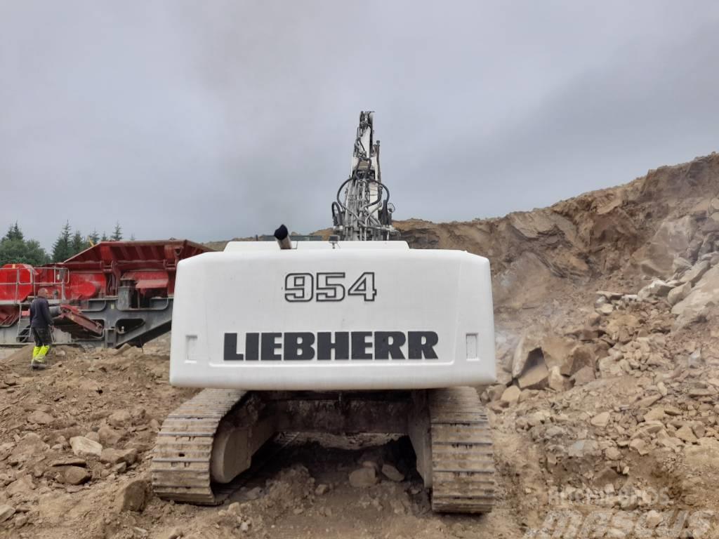 Liebherr R 954 C HD Paletli ekskavatörler
