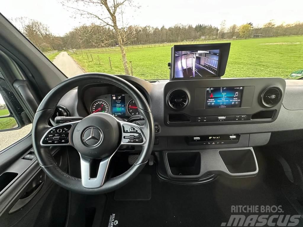 Mercedes-Benz Sprinter AMG 2-paards paardenvrachtwagen B-rijbewi Hayvan nakil kamyonlari