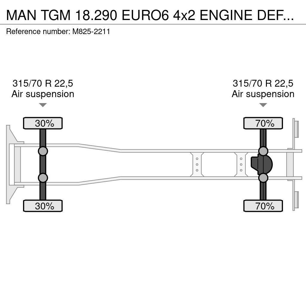 MAN TGM 18.290 EURO6 4x2 ENGINE DEFECT!!! Frigofrik kamyonlar