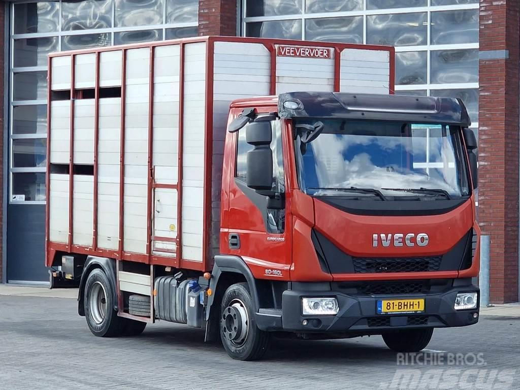 Iveco Eurocargo Livestock - Euro 6 - Low KM - Manual gea Hayvan nakil kamyonlari