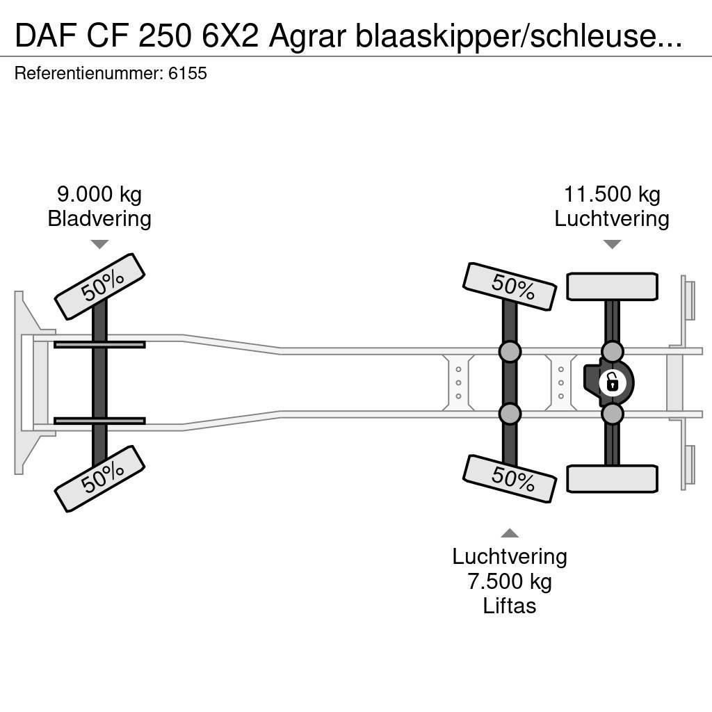 DAF CF 250 6X2 Agrar blaaskipper/schleuse Blower Manua Damperli kamyonlar