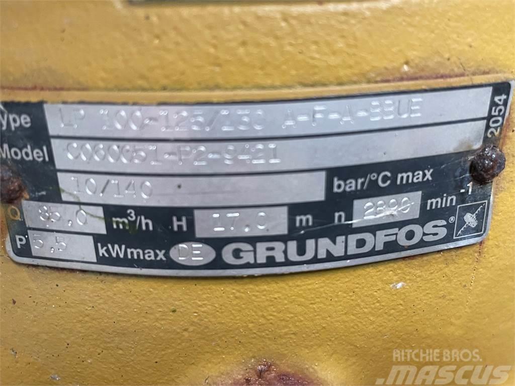Grundfos type LP 100-125/130 A-F-A-BBUE pumpe Su pompalari