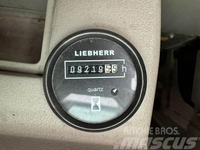 Liebherr R 944 Kettbagger Paletli ekskavatörler